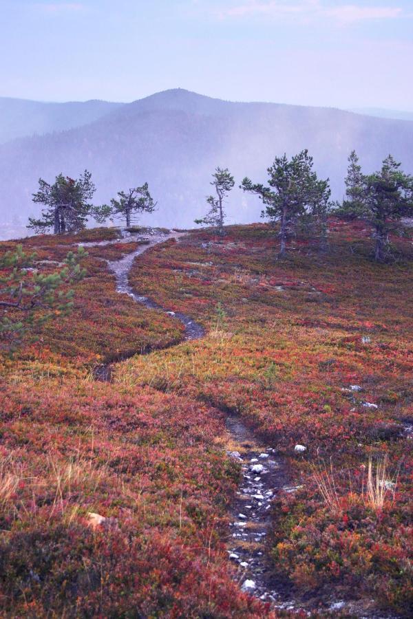 Villa Vuossel Ruka Buitenkant foto