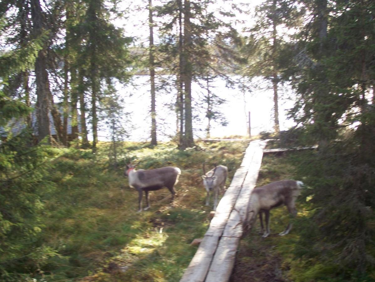 Villa Vuossel Ruka Buitenkant foto